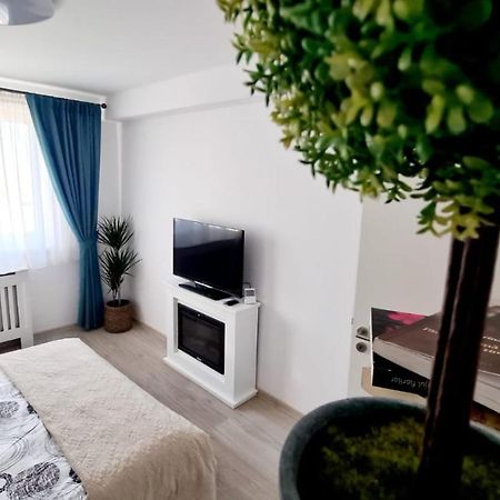Cozy Studio Apartment Brasov Exterior photo