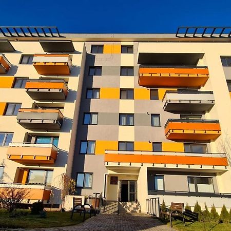 Cozy Studio Apartment Brasov Exterior photo