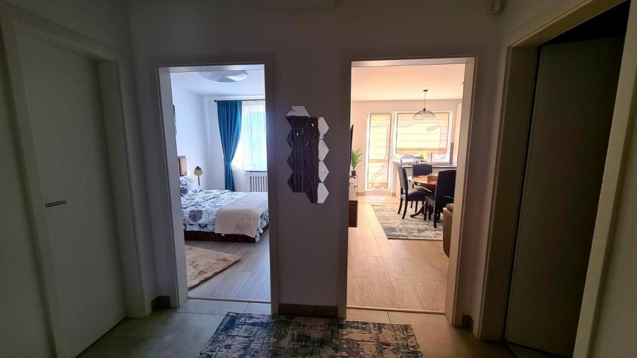 Cozy Studio Apartment Brasov Exterior photo