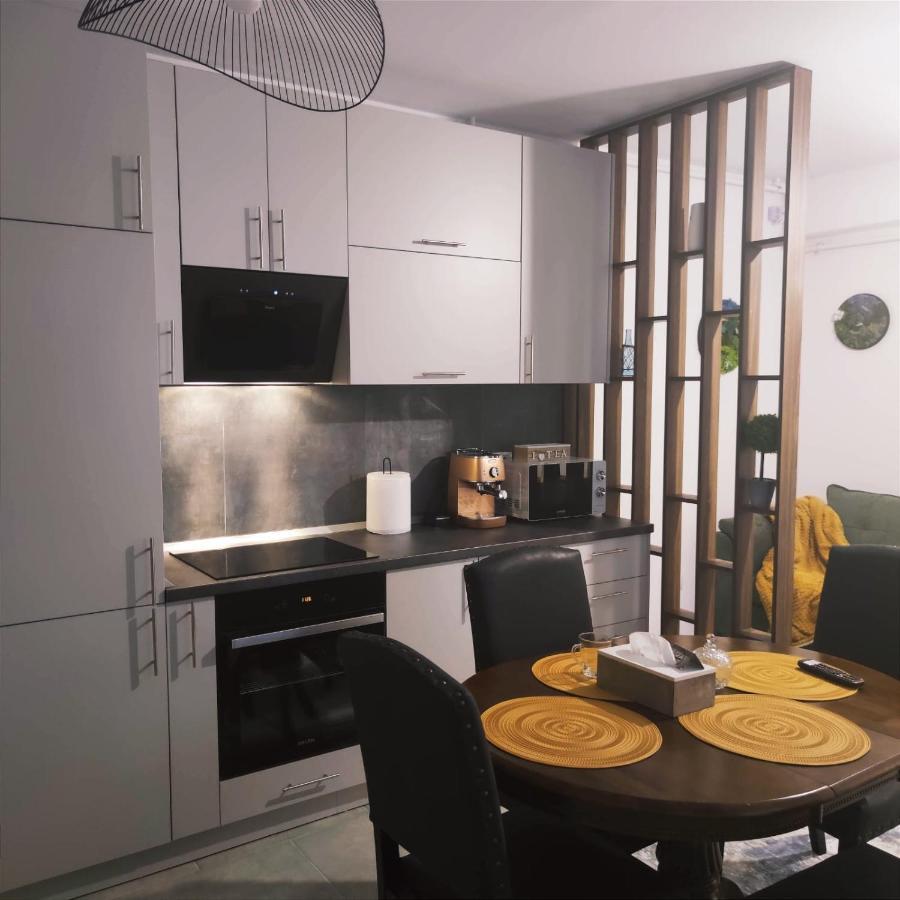 Cozy Studio Apartment Brasov Exterior photo