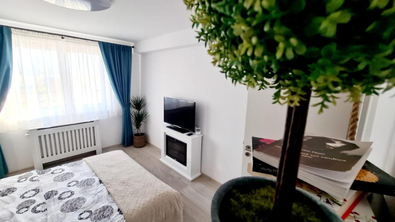 Cozy Studio Apartment Brasov Exterior photo