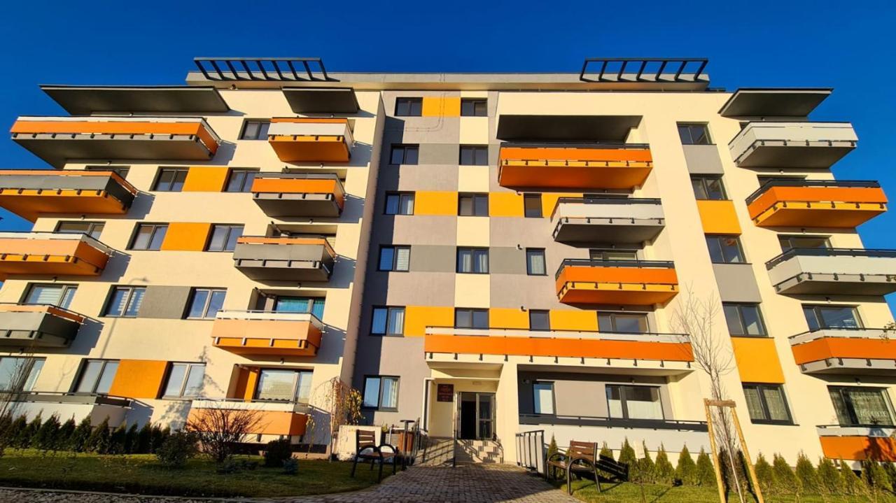 Cozy Studio Apartment Brasov Exterior photo